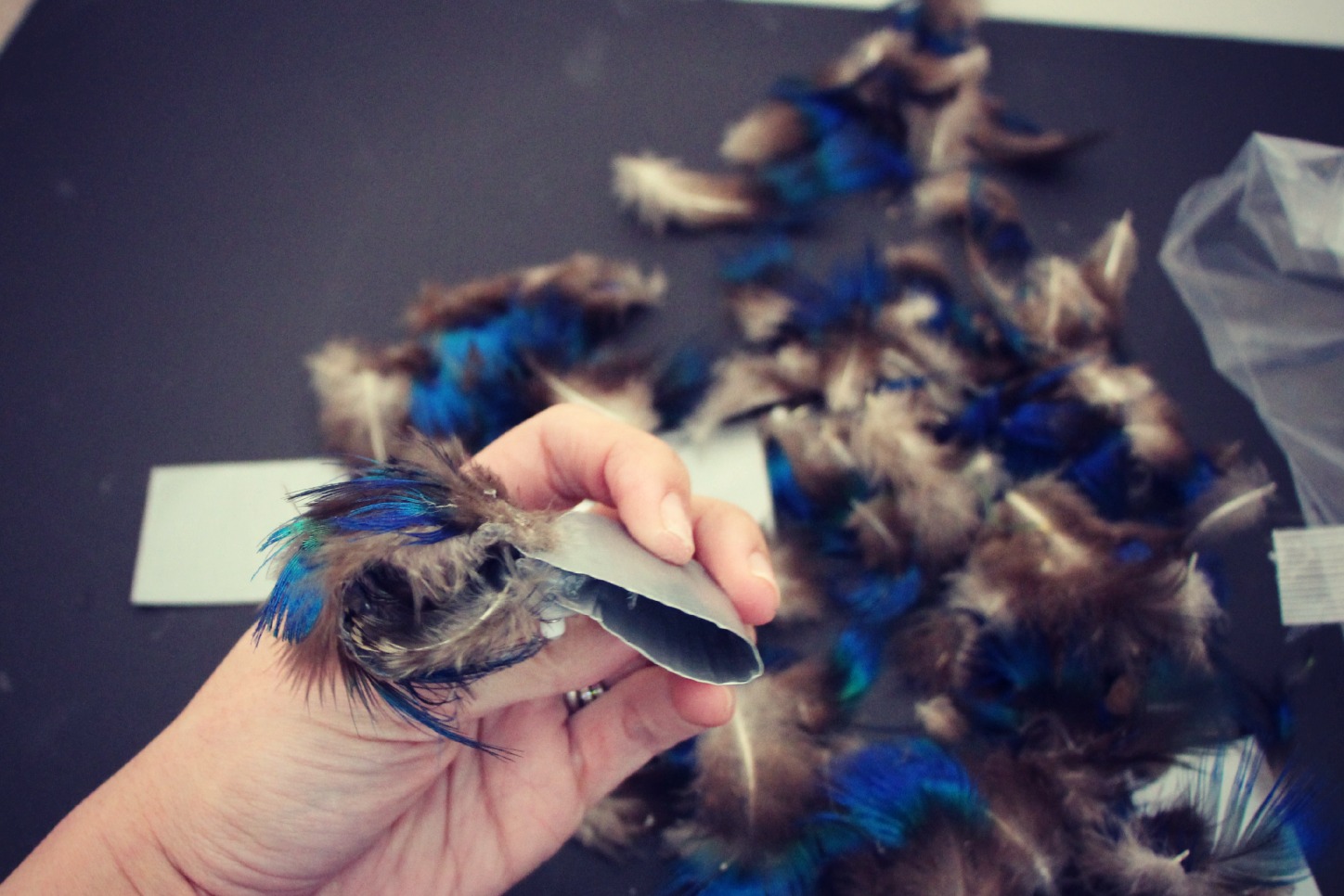 Peacock Feather Bow Shoe Clips