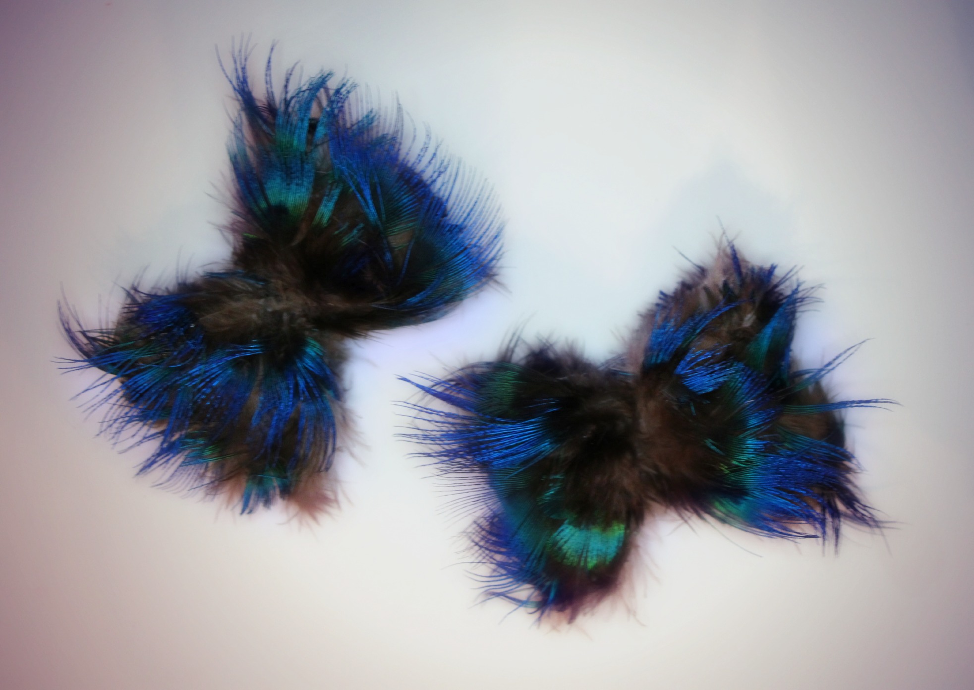 Peacock Feather Bow Shoe Clips