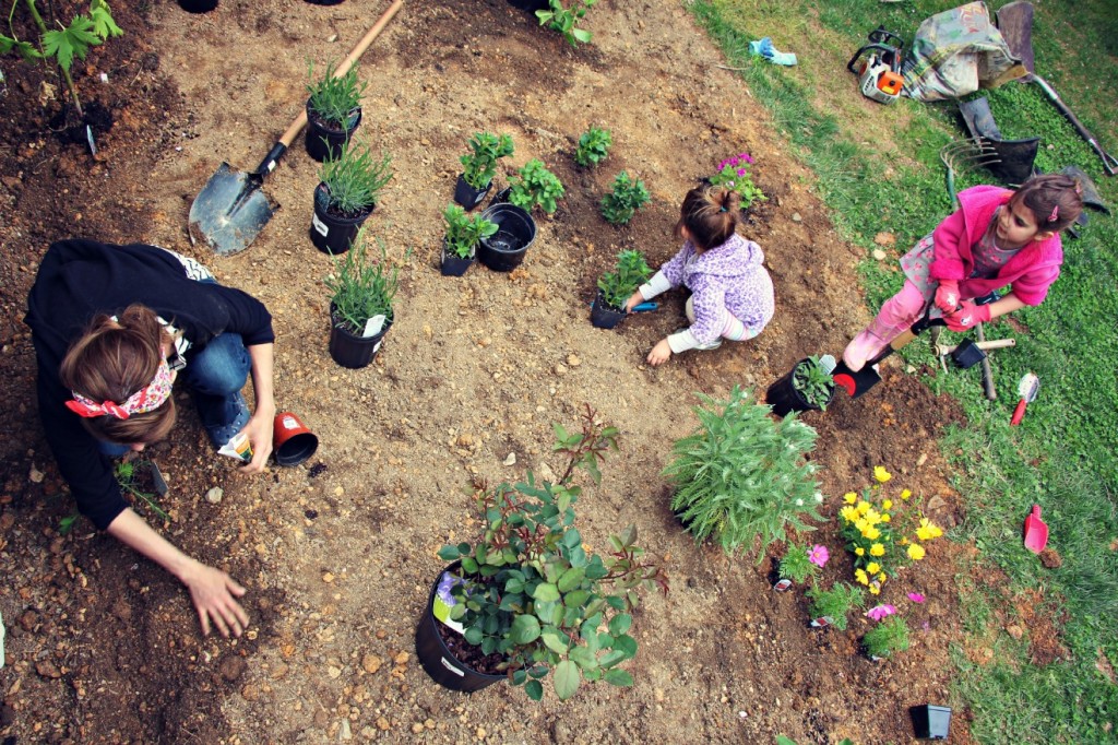 How to plant a cutting garden:: Our First Garden with Little Pink Monster