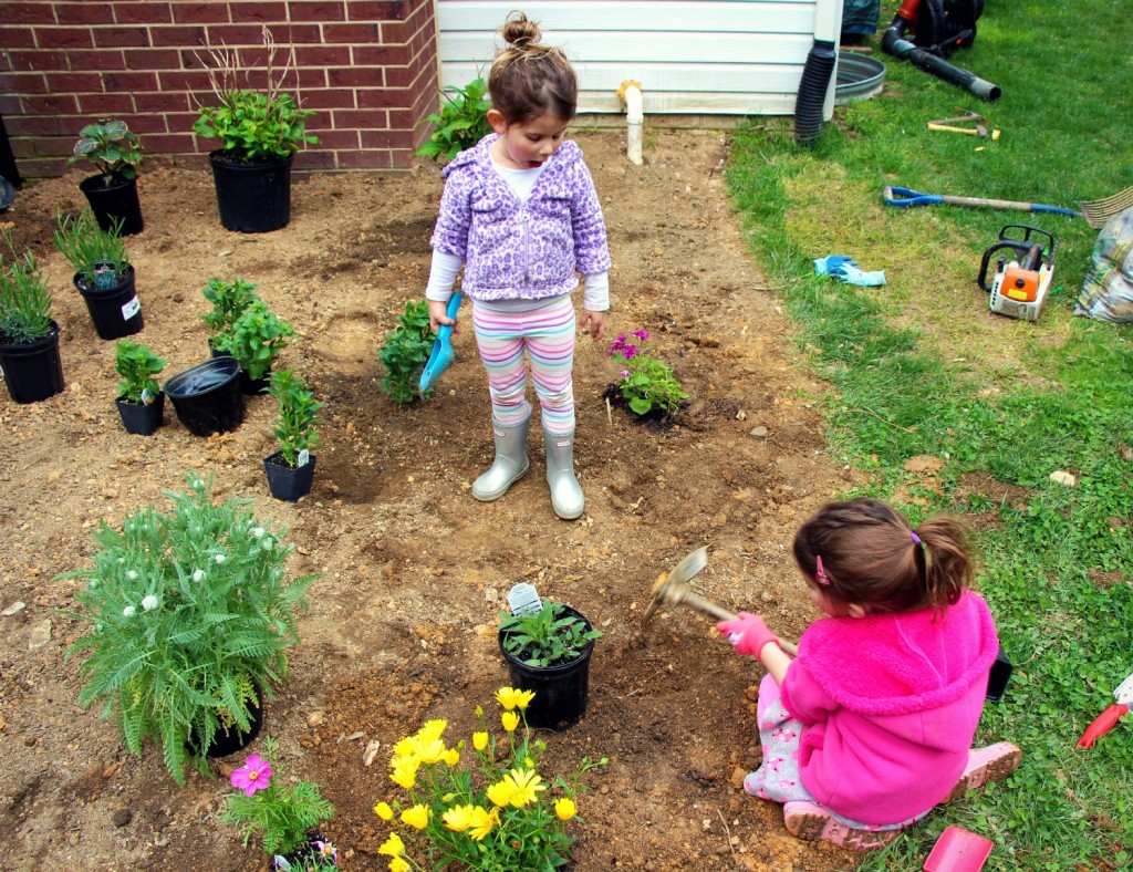 How to plant a cutting garden:: Our First Garden with Little Pink Monster