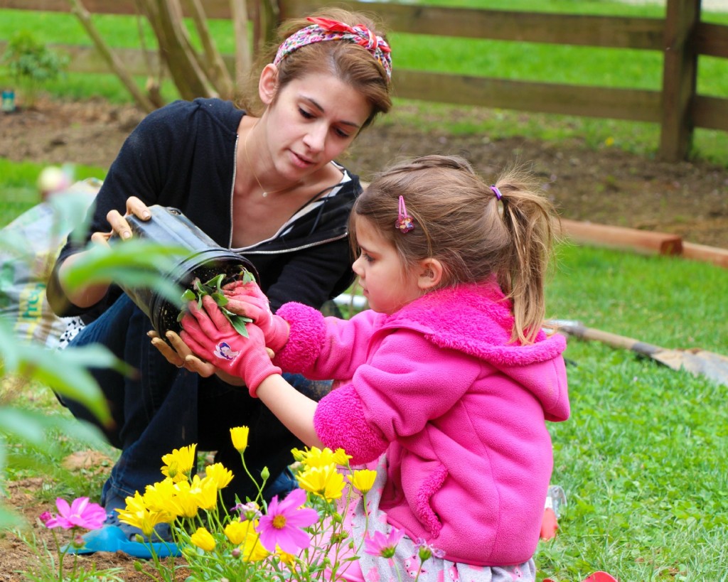 How to plant a cutting garden:: Our First Garden with Little Pink Monster