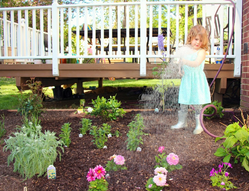 How to plant a cutting garden:: Our First Garden with Little Pink Monster