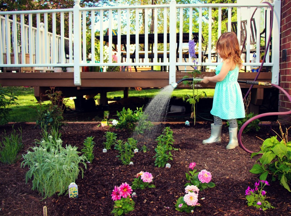 How to plant a cutting garden:: Our First Garden with Little Pink Monster