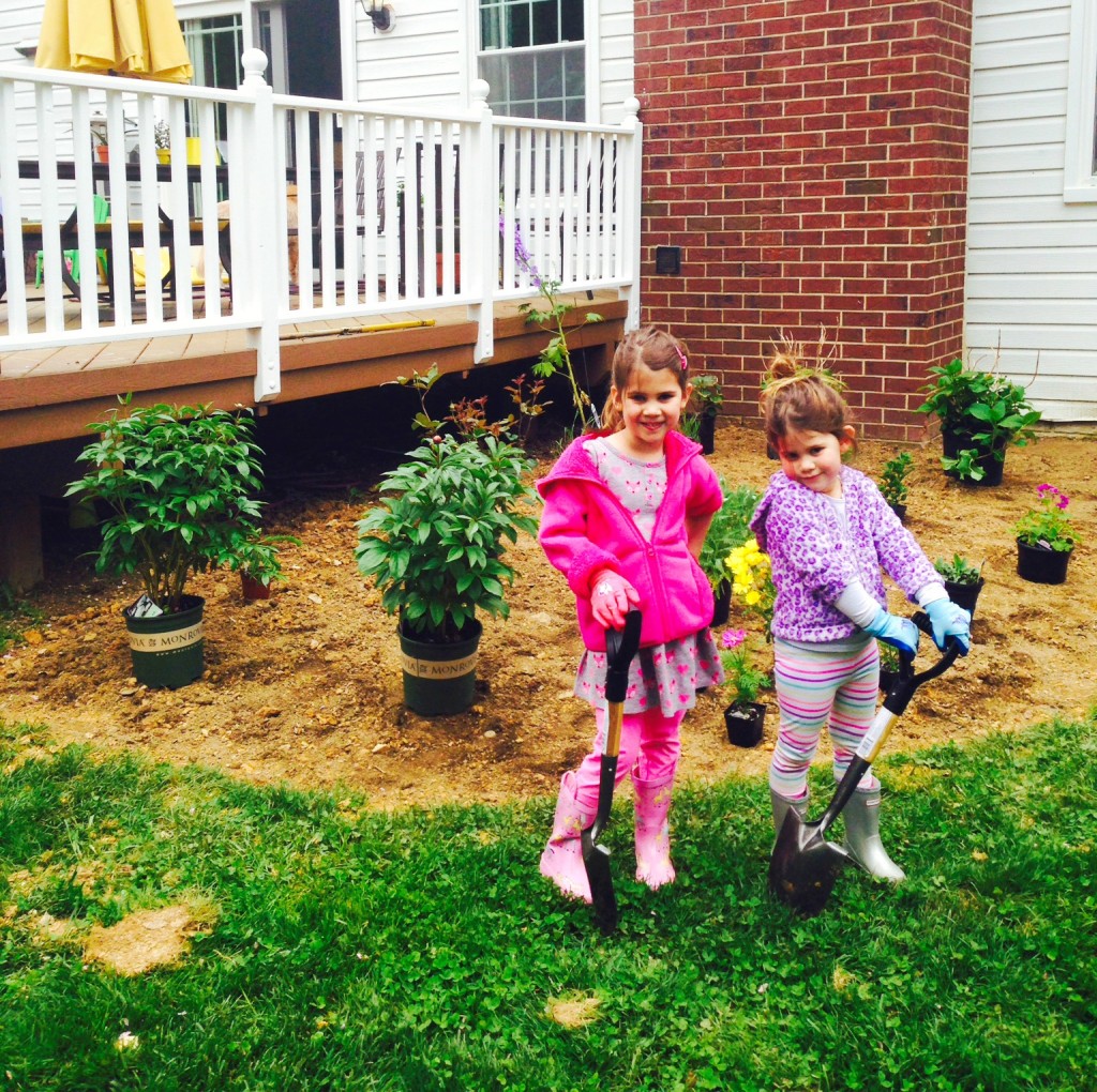 How to plant a cutting garden:: Our First Garden with Little Pink Monster